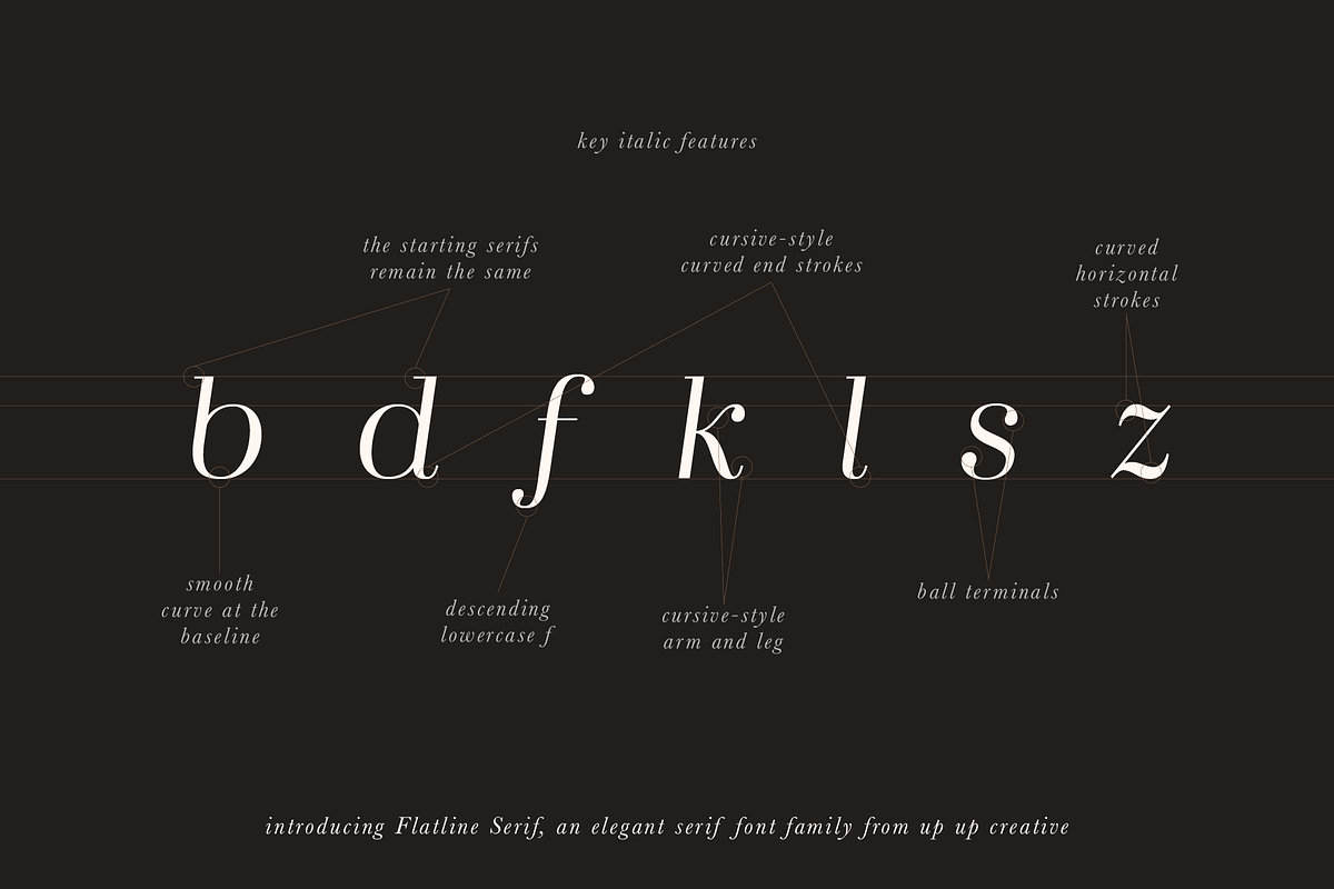Flatline Serif Complete - 16 fonts, a Serif Font by Up Up Creative (Photo 4 of 13)
