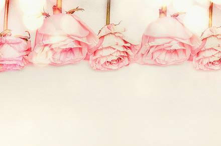 Pastel pink roses border, an Arts & Entertainment Photo by VICUSCHKA