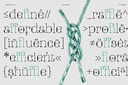 UT Tangor - A Decorative Serif, a Serif Font by Universitype (Thumbnail 8 of 12)