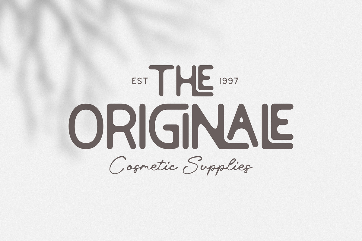Relation De Luxe - Font Duo, a Sans Serif Font by Prioritype Co (Photo 2 of 11)