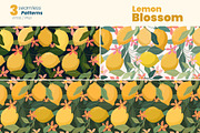 Lemon Blossom Seamless Patterns, a Pattern Graphic by moja doodle (Thumbnail 2 of 4)