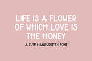 Love More Font, a Handwritten Font by MyFontsShop (Thumbnail 5 of 10)