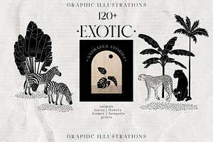 EXOTIC Graphics And Animated Stories