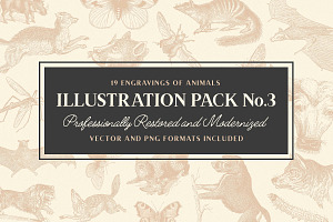 19 Vintage Fonts Bundle & Extras