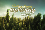 Ricca Script, a Script Font by Olexstudio (Thumbnail 3 of 5)