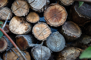 Stacked Firewood Logs Background, a Photo by Ales Munt