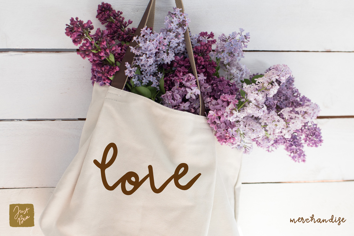Anastasia a calligraphic font, a Script Font by Just Bia (Photo 5 of 8)