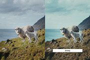 20 Faroe Islands Lightroom Presets, a Preset Add-On by skybluecreative (Thumbnail 2 of 10)