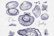 Vector sketch of Shellfish & Oysters, an Object Graphic by Aquatinta (Thumbnail 6 of 11)
