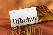 Redian || Modern Classy Serif Font, a Serif Font by Idea Studio (Thumbnail 7 of 10)