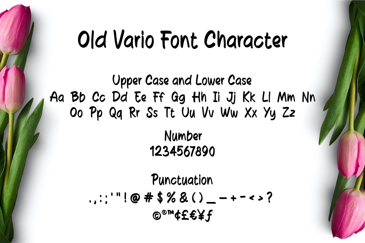 Old Vario Sans Handwritten Font, a Handwritten Font by Gumrega Studio (Photo 2 of 6)