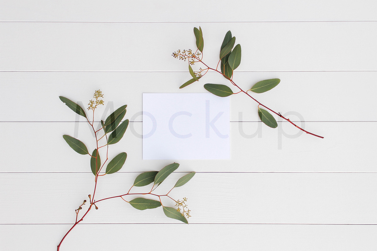 A2 Card Mockup - Eucalyptus 5, a Print Template by ILLONA GRAPHICS (Photo 1 of 5)