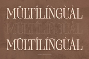 Ledira | Display Serif Font, a Serif Font by Denustudios (Thumbnail 14 of 15)