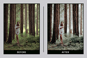 EVERGREEN CLEAN LIGHTROOM PRESETS, an Action Add-On by Nes Design Co (Thumbnail 4 of 10)
