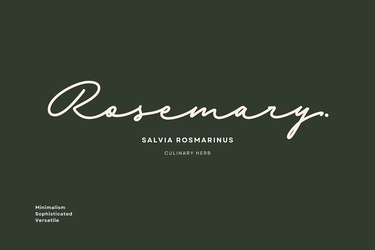 Sabiyan Script, a Script Font by Get Studio (Photo 4 of 9)