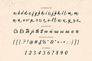 Quarella Jardin - Vintage Script, a Script Font by Typia Nesia (Thumbnail 12 of 12)