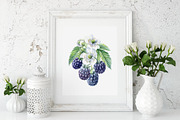 Watercolor Fresh Berries, a Decorative Illustration by Hanna Hryharenka (Thumbnail 4 of 16)