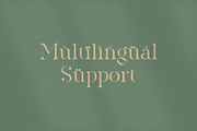 The Heart Mighty - Elegant Serif, a Serif Font by RockboyStd (Thumbnail 10 of 12)