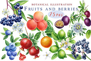 Fruits and berries