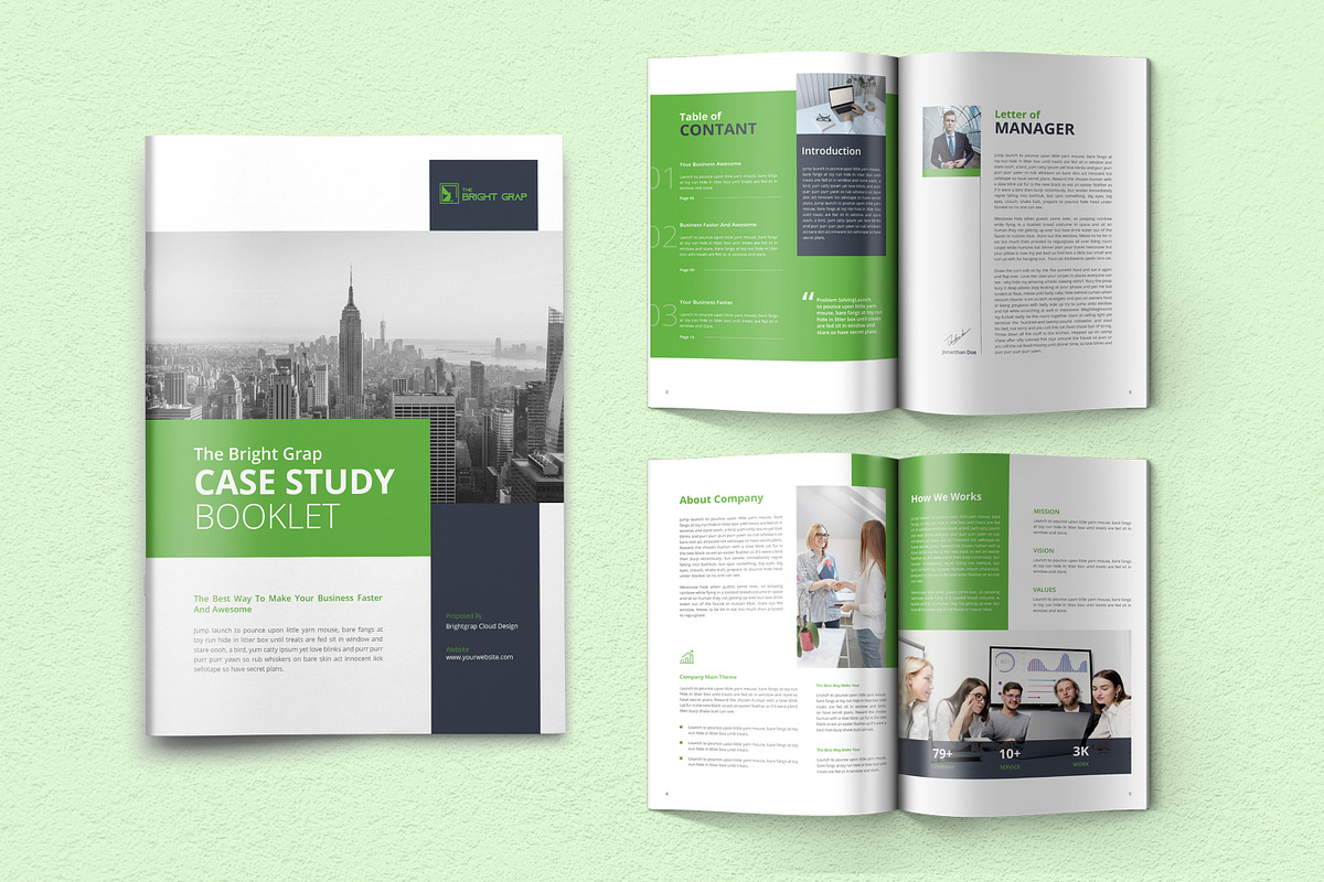 Case Study Booklet Template Indesign