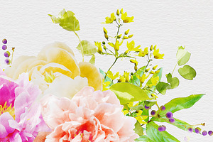 Watercolor Flowers - Peonies