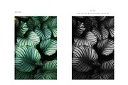 FINE ART BLACK + WHITE PS ACTIONS, an Action Add-On by Foto Rx Co. (Thumbnail 13 of 14)