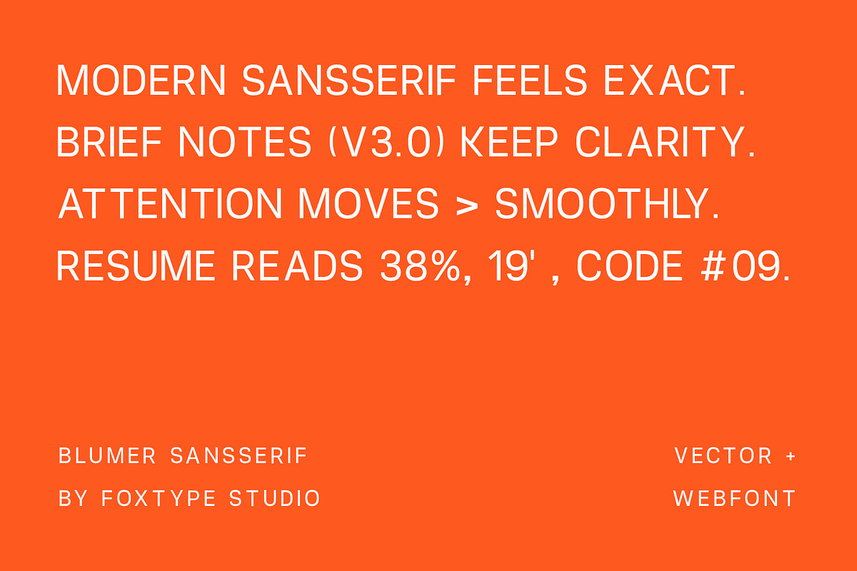 Blumer Modern Branding Sans Serif, a Sans Serif Font by Foxtype (Photo 3 of 9)