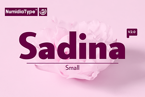 Sadina S