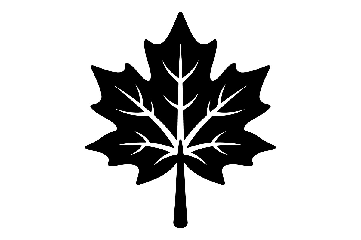 Maple Leaf Oak Leaf Autumn, an Object Graphic by Gfx_Store (Photo 10 of 15)