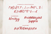 Fall Story - Brushed Script Font, a Script Font by Typefactoryco (Thumbnail 3 of 9)