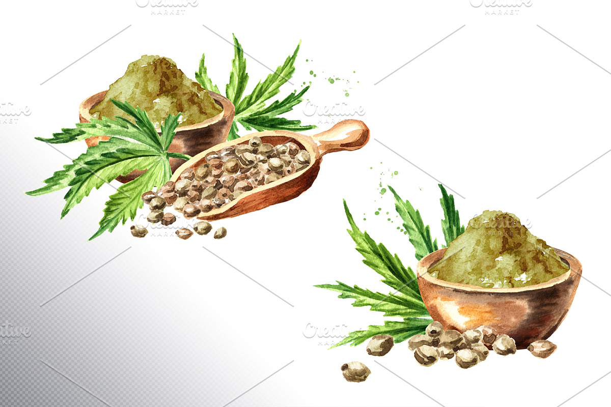 Cannabis. Watercolor collection, a Healthcare Illustration by Daria Ustiugova (Photo 7 of 12)