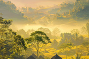 Golden Rice Field at Sunset, a Photo by LOGOCREATIVE (Thumbnail 26 of 27)