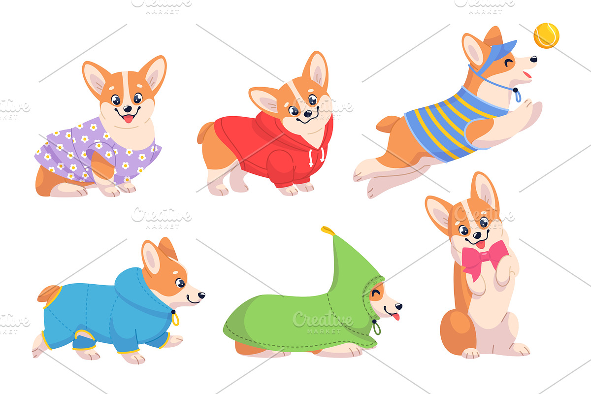 Cute corgi dog in clothes. Funny, an Animal Illustration by YummyBuum