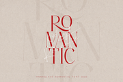 Anna Glave - Serif & Script Font Duo, a Serif Font by VP Fonts (Thumbnail 10 of 28)