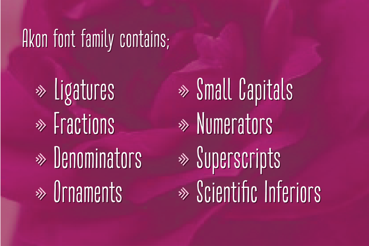 Akon Font Family preview 2
