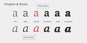 NCT Larkspur, a Serif Font by NCT (Thumbnail 3 of 9)