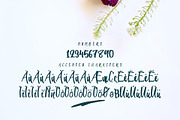 Seiroetan, a Script Font by Dotibn Studio (Thumbnail 5 of 7)