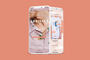 Animated Instagram Stories & Posts, a Social Media Template by PixelHive Pro (Thumbnail 6 of 13)