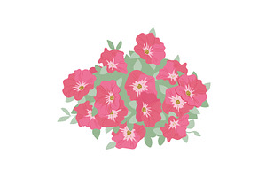 Bouquet of petunia flowers isolated, an Object Illustration by Toltemara