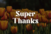 Williesh - Unique Display Serif, a Serif Font by Almarkhatype (Thumbnail 10 of 10)