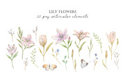 Lily Flowers. Watercolor Cliparts, a Decorative Illustration by Slastick (Thumbnail 2 of 8)