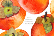 Watercolor Persimmon Fruits Clipart, a Food Illustration by Olga Begak Art & Design (Thumbnail 3 of 9)