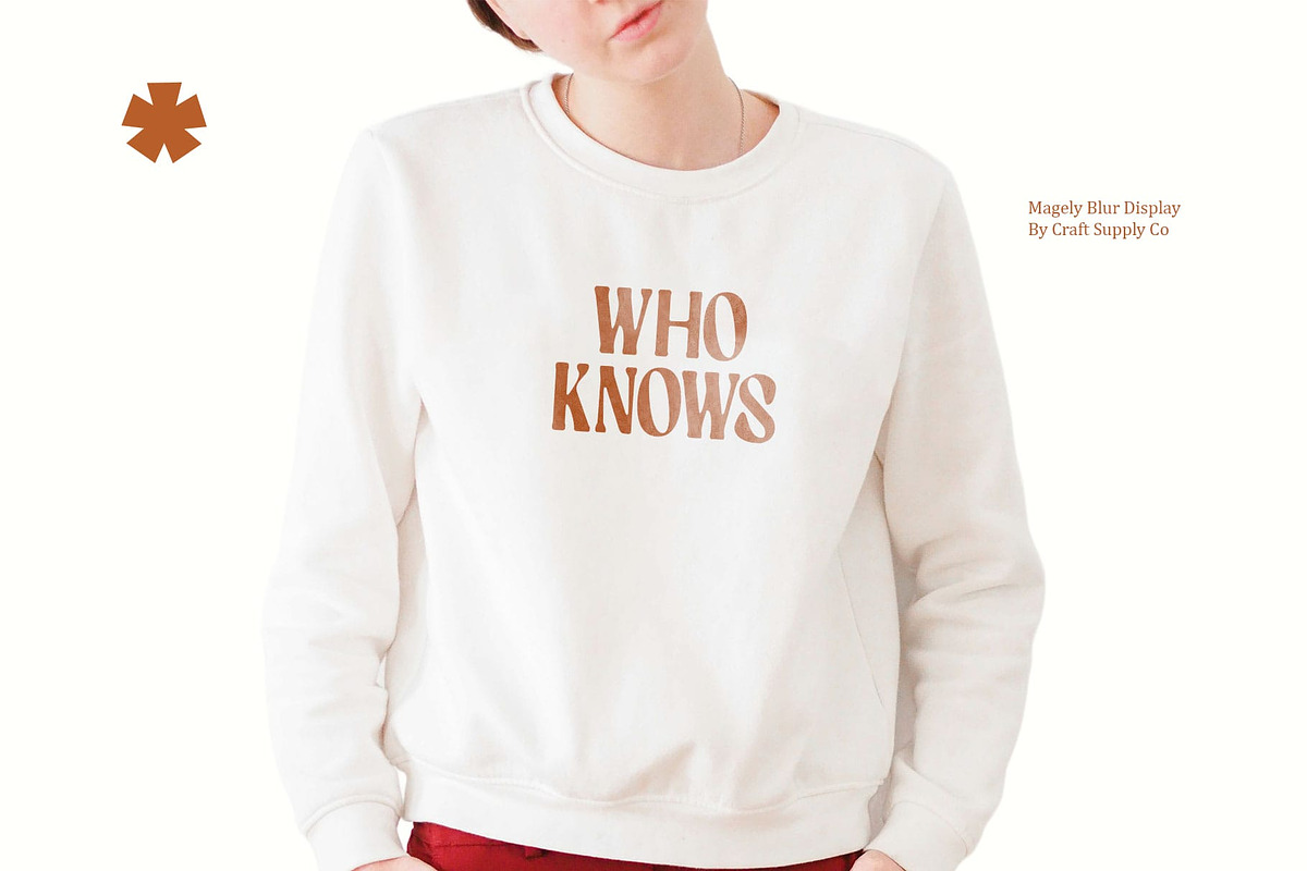 Magely Blur, a Serif Font by Craft Supply Co. (Photo 4 of 8)