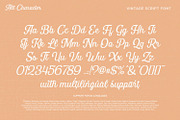 Retrolife, a Script Font by Vintage Division (Thumbnail 9 of 10)