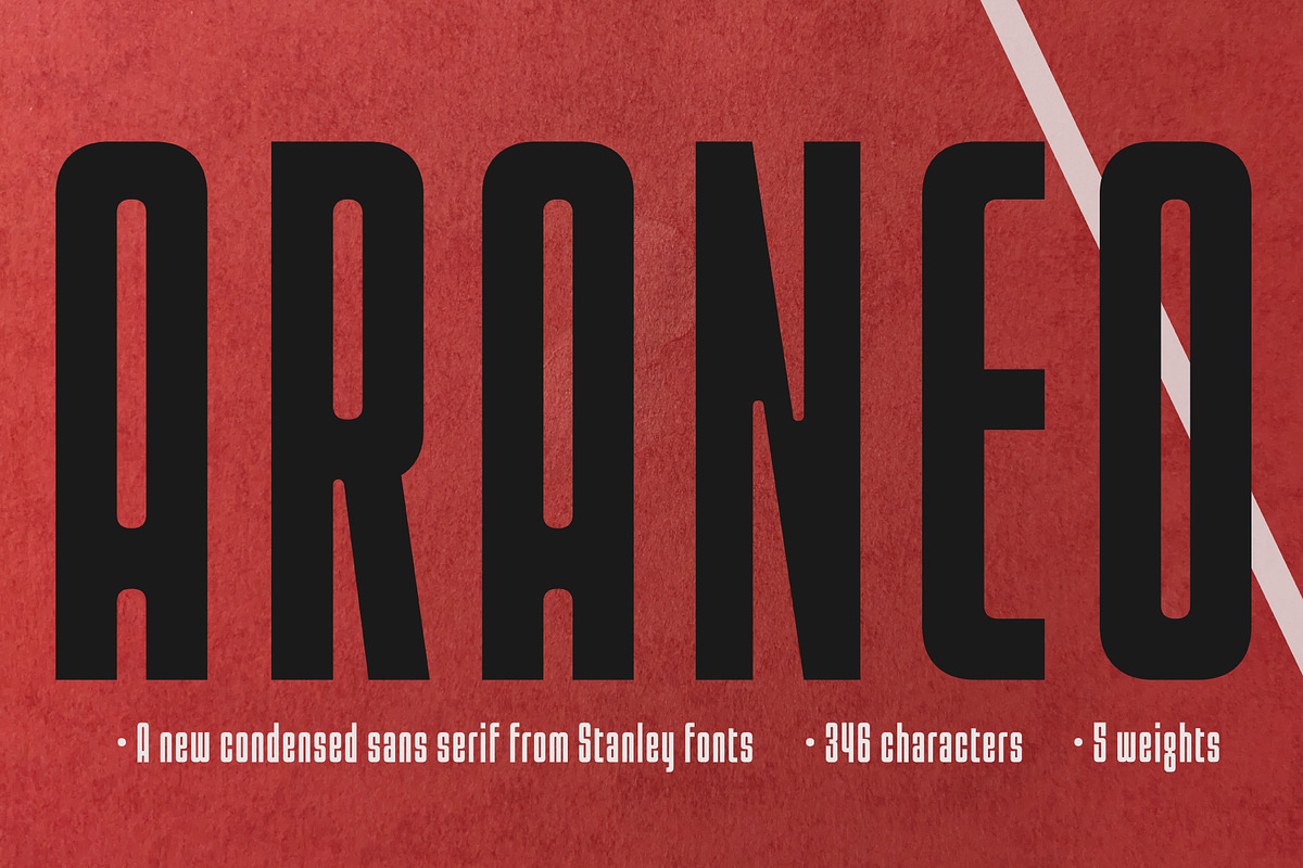 Araneo Condensed, a Sans Serif Font by Stanley fonts (Photo 6 of 12)