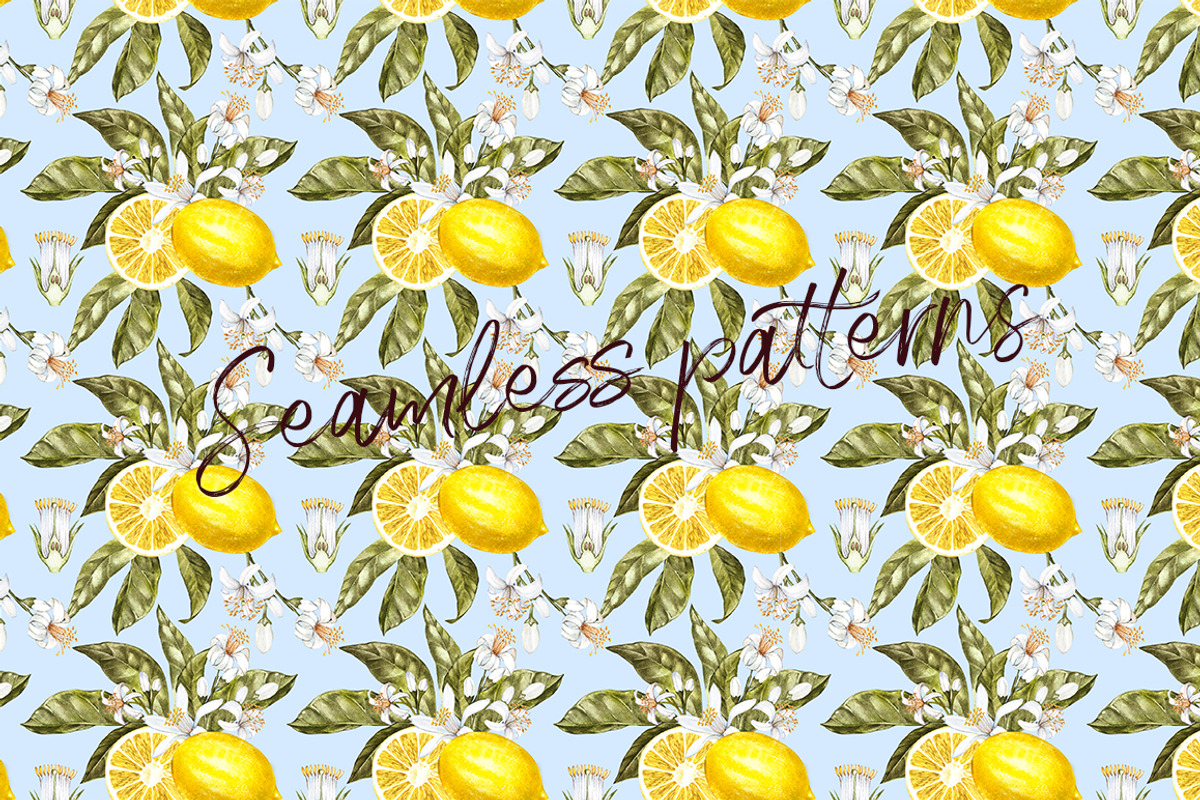 Lemon in botanical style, a Food Illustration by Ann Astro (Photo 8 of 9)
