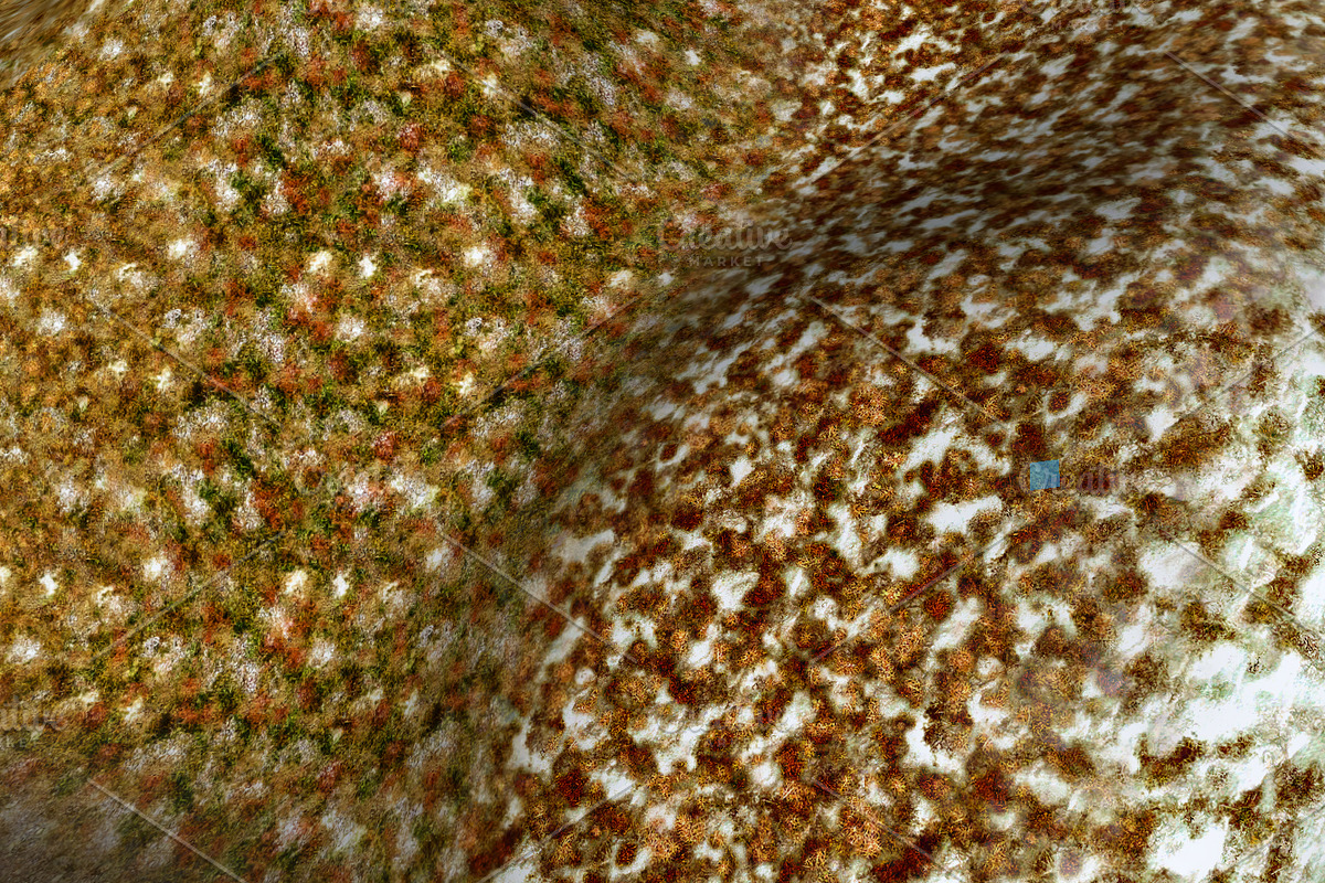 AUTUMN AND WINTER TEXTURE PACK, a Textures & Material 3D Model by Beatheart Creative Studio (Photo 58 of 58)
