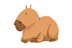 Capybara. Cartoon cute animal, wild, an Animal Illustration by the8monkey