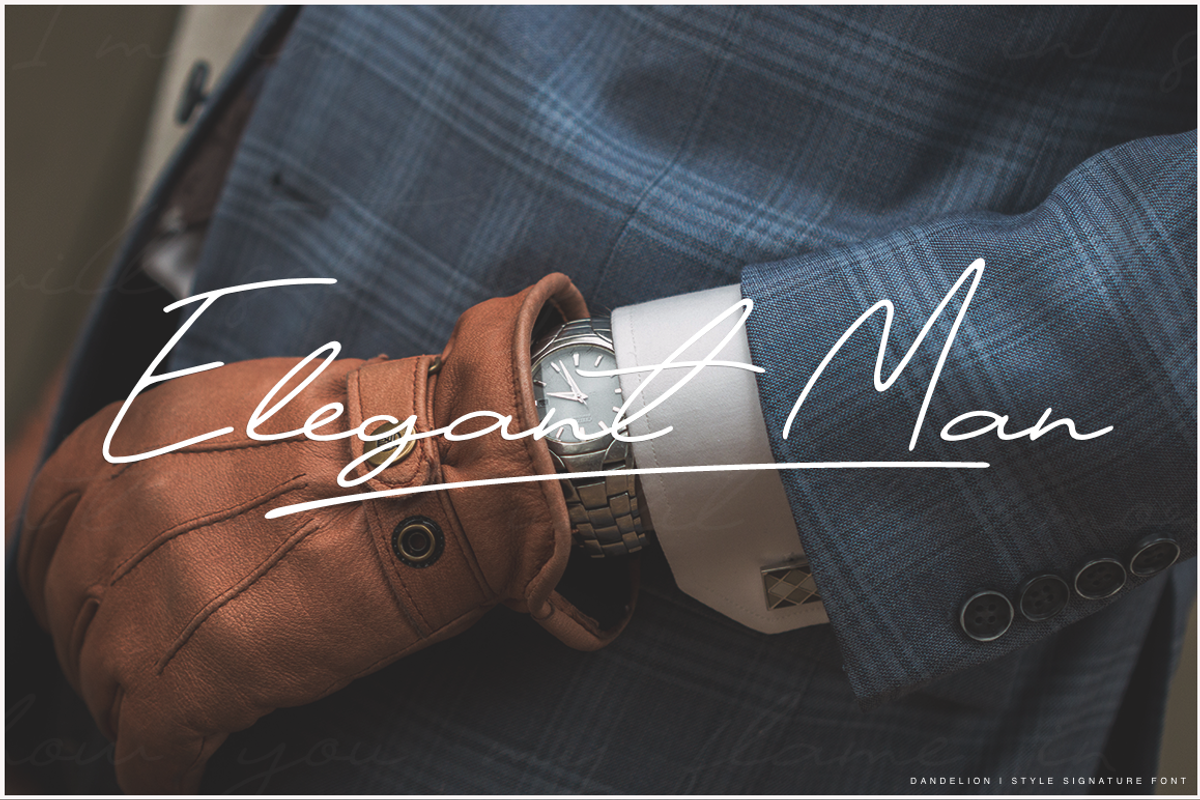 Dandelion, a Script Font by Larin Type Co. (Photo 13 of 14)
