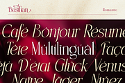 Basthan, a Serif Font by Burntilldead (Thumbnail 11 of 12)